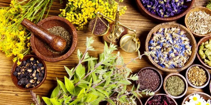 Naturoterapia - studia podyplomowe i szkolenia