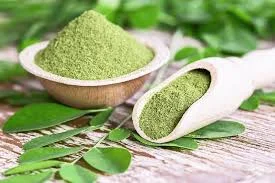 Zioła na nerki i układ moczowy